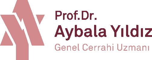 Prof. Dr. Aybala Yıldız